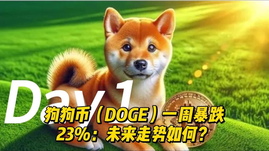 狗狗币今日价格行情:狗狗币今日价格行情最新