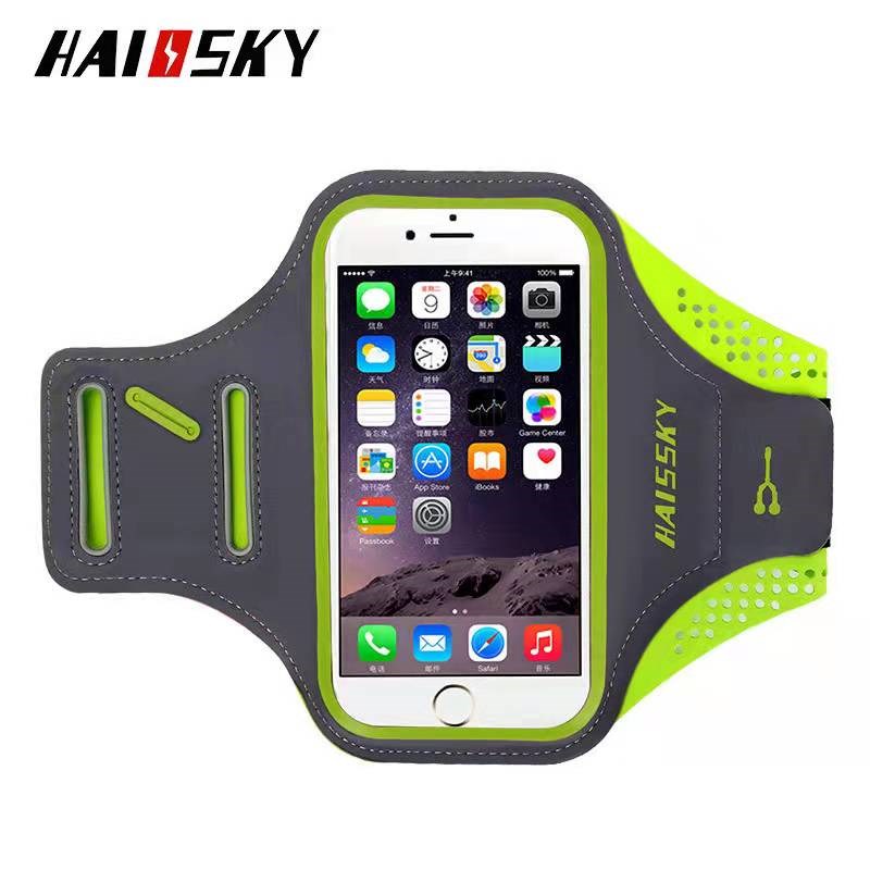 runningsky下载(running the app)