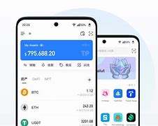 tokenpocket官网(国际抖音tiktok官网入口)