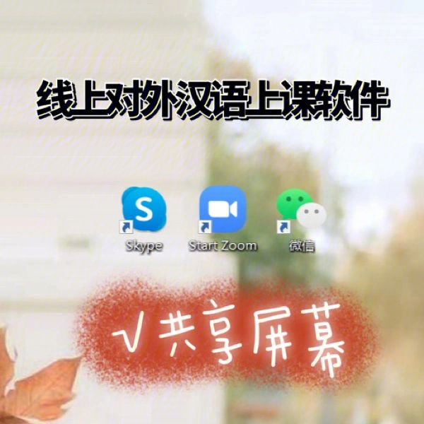skype登不进去怎么办(skype登录不上是什么原因)