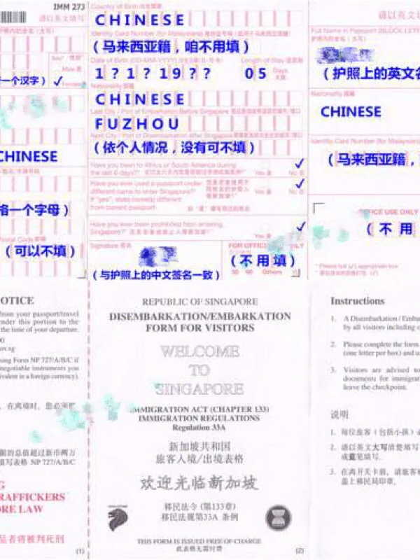 飞机英文转中文设置步骤(纸飞机安装zh_cn语言包)