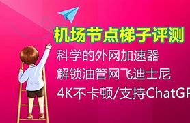梯子vp?n(梯子vps免费用两小时)