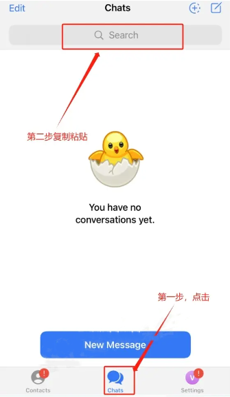 苹果版纸飞机汉化切换(纸飞机中文版怎么设置汉化苹果手机)