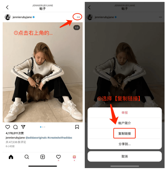 国内怎么下载ins软件免费(国内如何下载instagram)