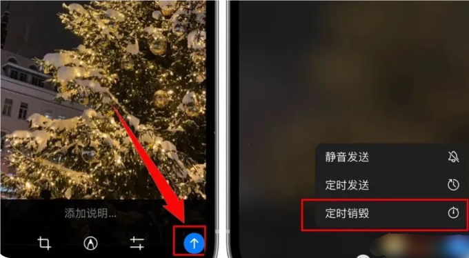 苹果纸飞机怎么设置成中文(苹果手机纸飞机怎么转换中文)