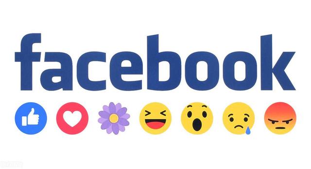 Facebook是什么意思啊?(facebook是什么意思 网络用语)