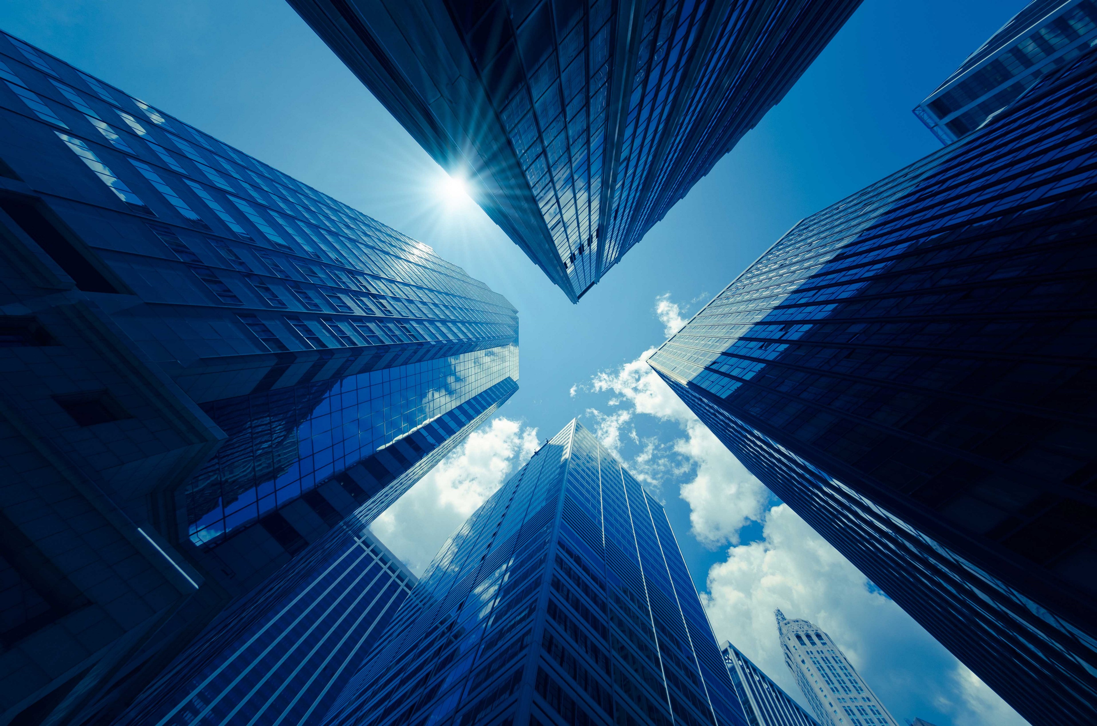 skypeforbusiness登录(skypeforbusiness下载官网)