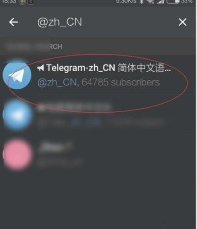 苹果telegreat怎么转中文(苹果telegeram怎么弄成中文)