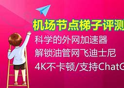 vqn梯子加速器(梯子加速器有什么用)