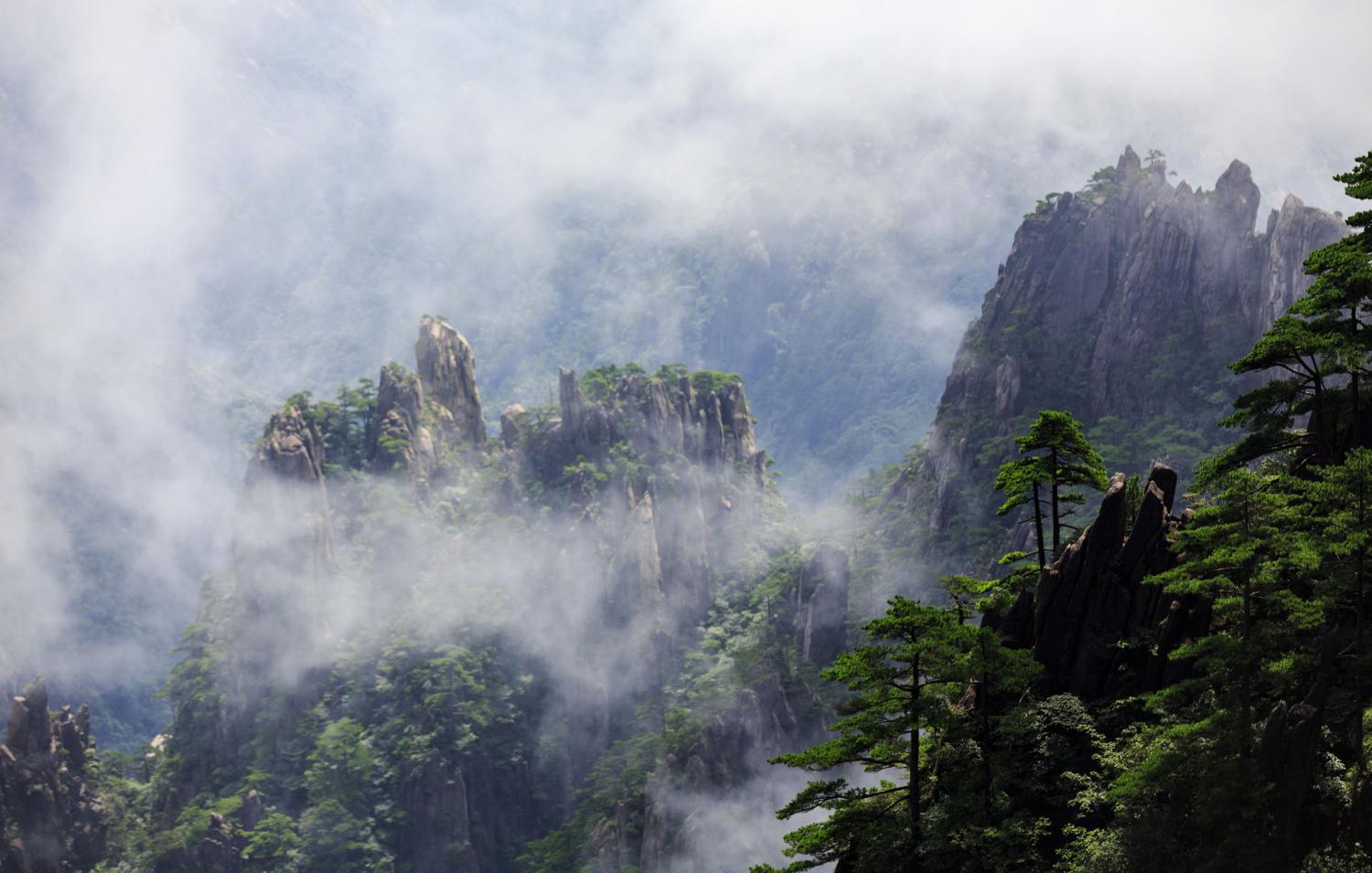 水漫金山钱满仓美好良辰客归来,水满金山钱满仓的动物是什么生肖