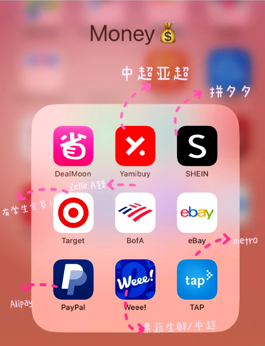 加速器外网梯子免费,加速器外网梯子免费永久