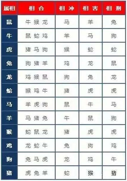 玄机是代表什么生肖,玄机是代表什么生肖呢